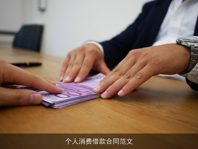 个人消费借款合同范文