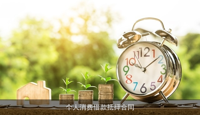 个人消费借款抵押合同