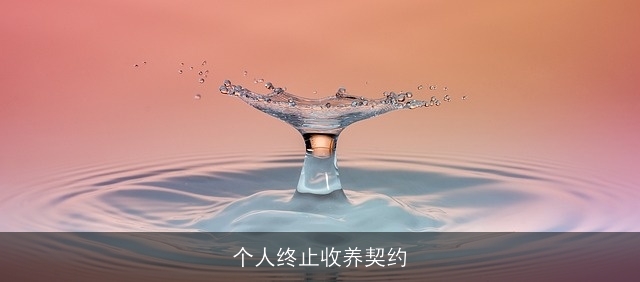 个人终止收养契约