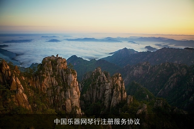 中国乐器网琴行注册服务协议