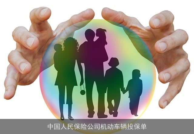 中国人民保险公司机动车辆投保单