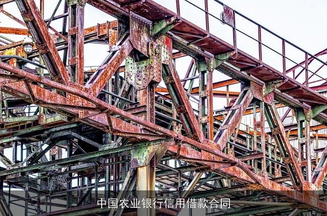 中国农业银行信用借款合同