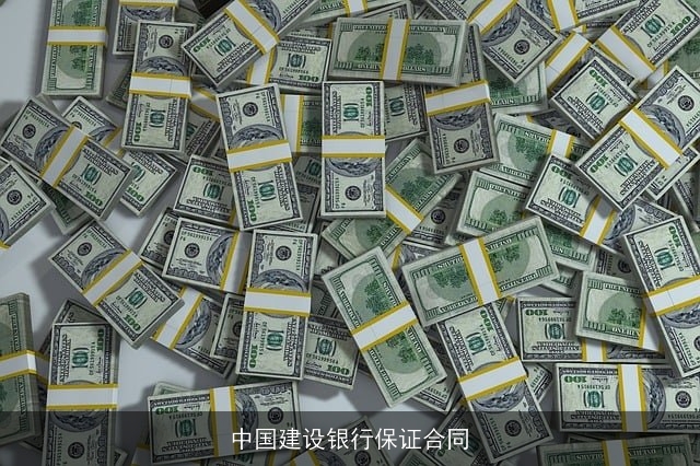 中国建设银行保证合同