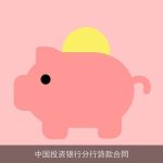中国投资银行分行贷款合同