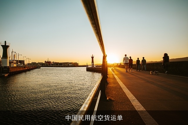 中国民用航空货运单