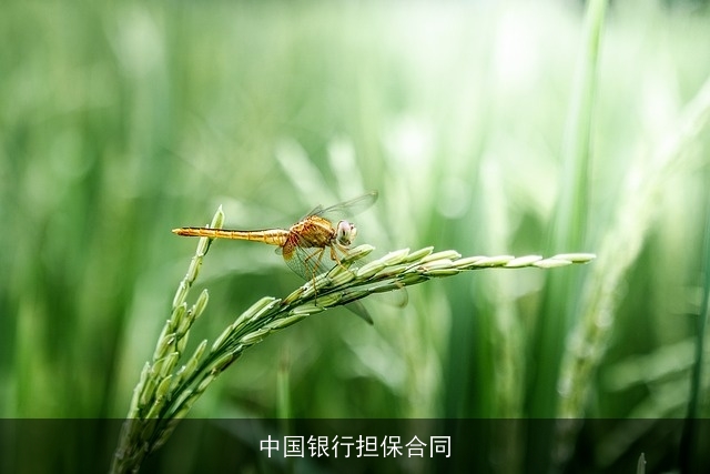 中国银行担保合同