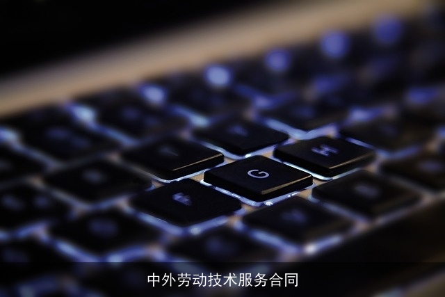 中外劳动技术服务合同