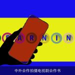 中外合作拍摄电视剧合作书