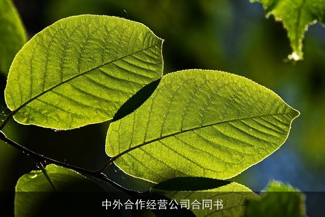 中外合作经营公司合同书