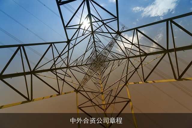 中外合资公司章程