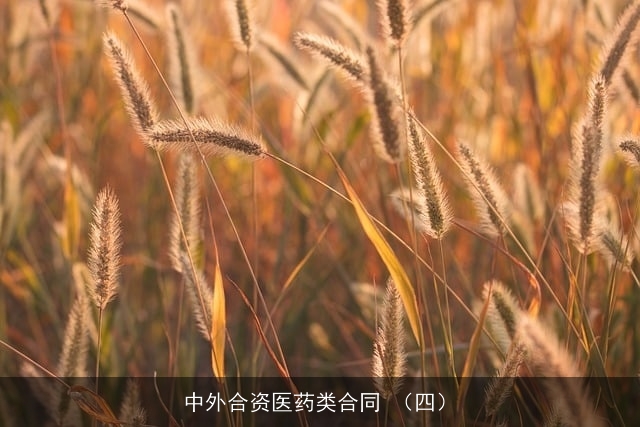 中外合资医药类合同 （四）