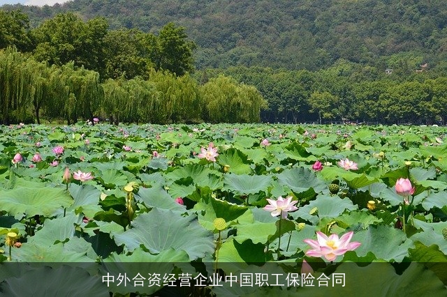 中外合资经营企业中国职工保险合同