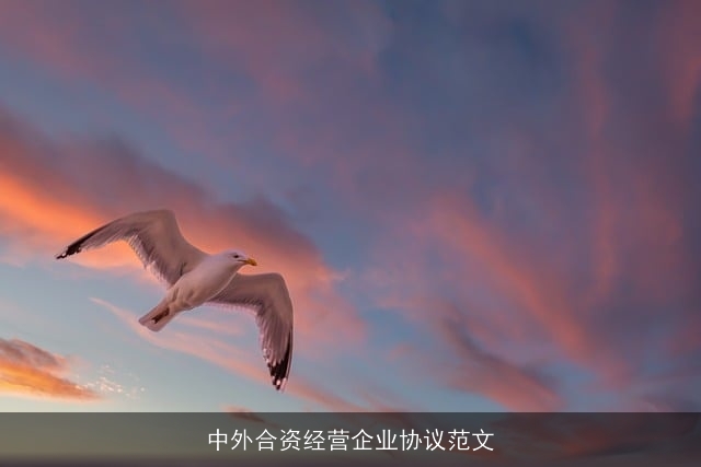 中外合资经营企业协议范文