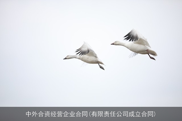 中外合资经营企业合同(有限责任公司成立合同)