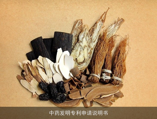 中药发明专利申请说明书