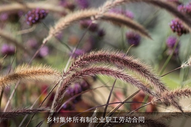 乡村集体所有制企业职工劳动合同