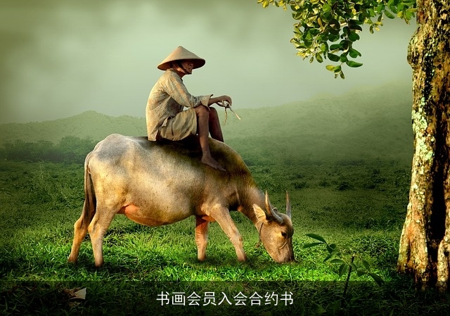 书画会员入会合约书