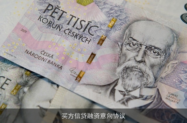 买方信贷融资意向协议