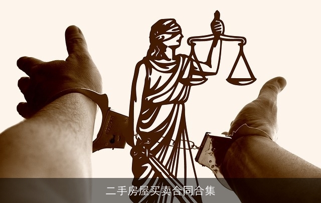 二手房屋买卖合同合集