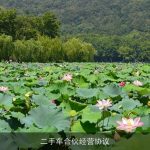 二手车合伙经营协议