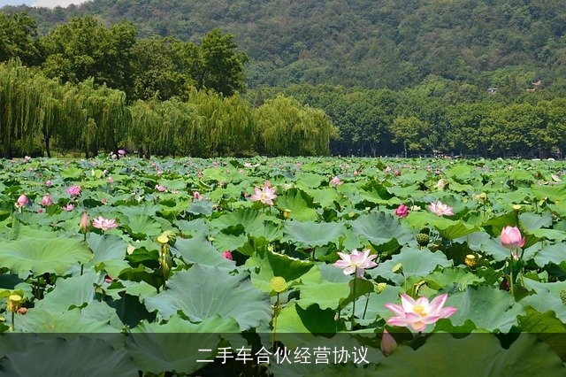 二手车合伙经营协议