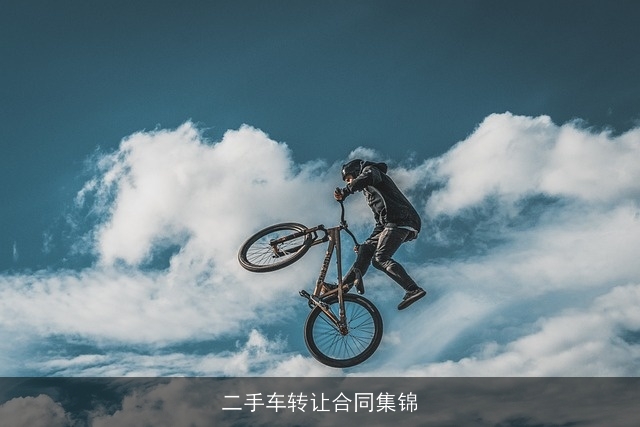 二手车转让合同集锦