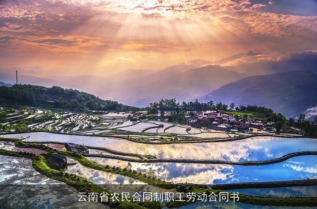 云南省农民合同制职工劳动合同书