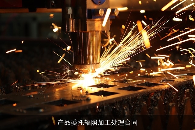 产品委托辐照加工处理合同