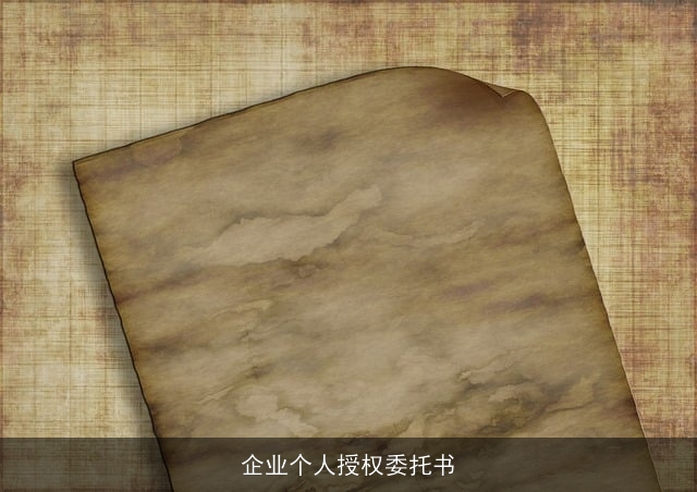 企业个人授权委托书
