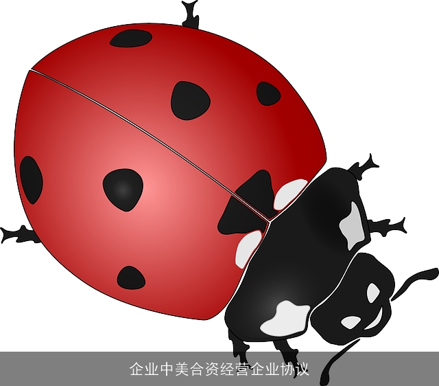 企业中美合资经营企业协议