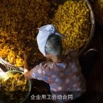 企业用工劳动合同