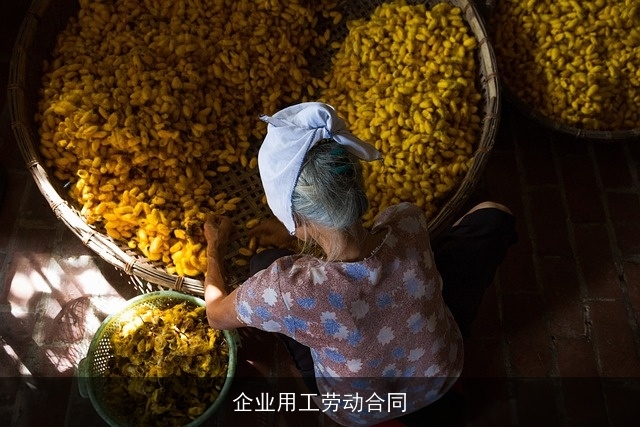 企业用工劳动合同