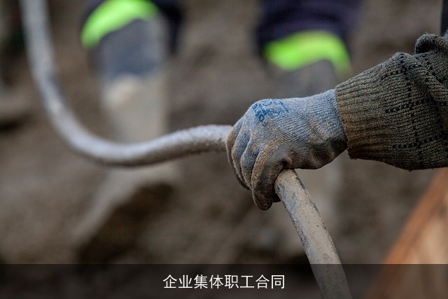 企业集体职工合同