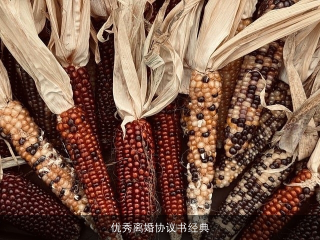 优秀离婚协议书经典