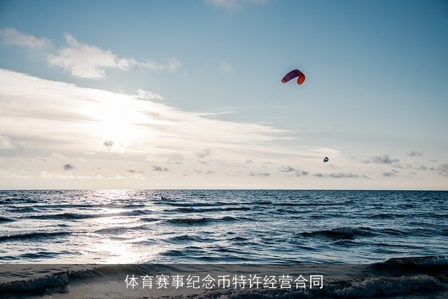 体育赛事纪念币特许经营合同