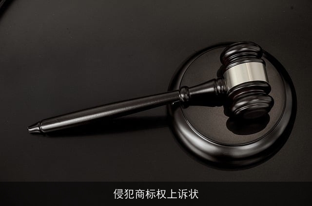 侵犯商标权上诉状