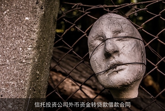 信托投资公司外币资金转贷款借款合同