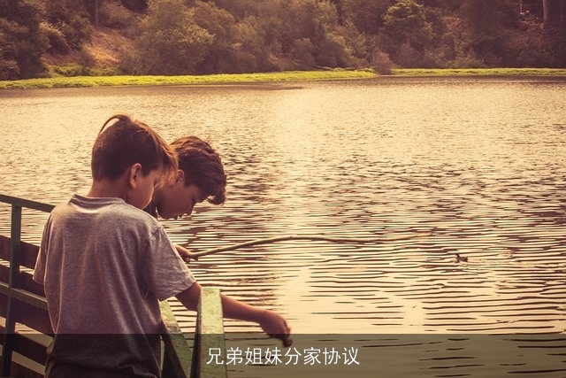 兄弟姐妹分家协议