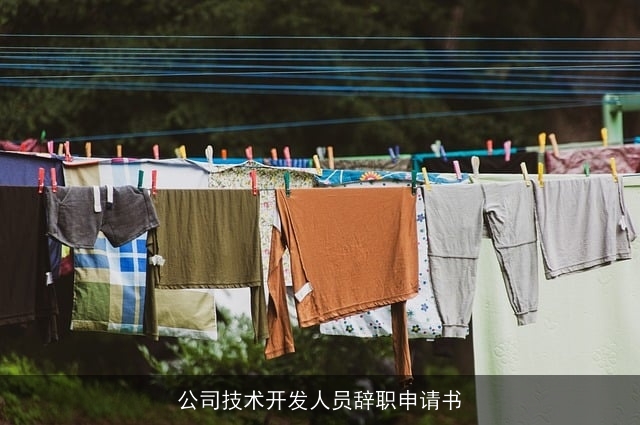 公司技术开发人员辞职申请书