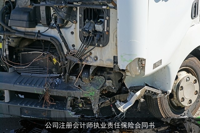 公司注册会计师执业责任保险合同书