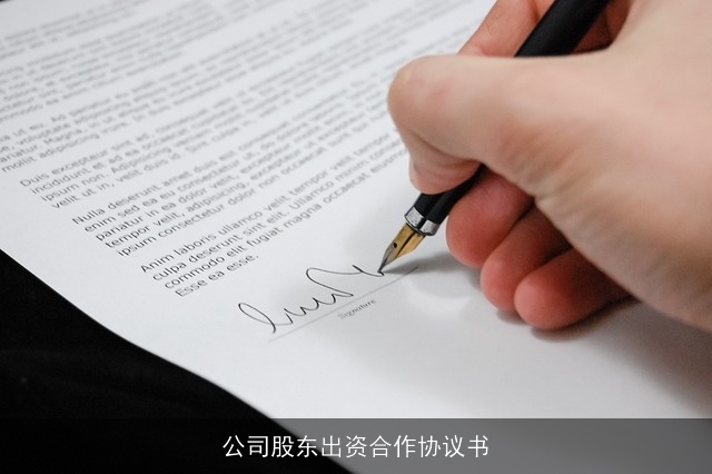 公司股东出资合作协议书
