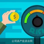 公司资产投资合同