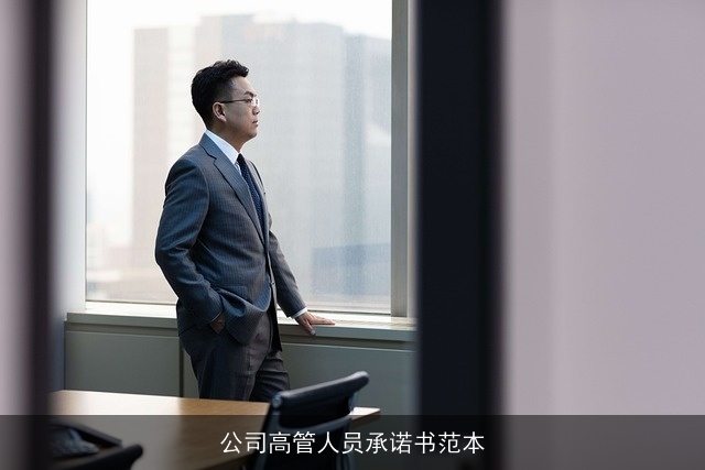 公司高管人员承诺书范本