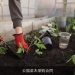 公园苗木采购合同