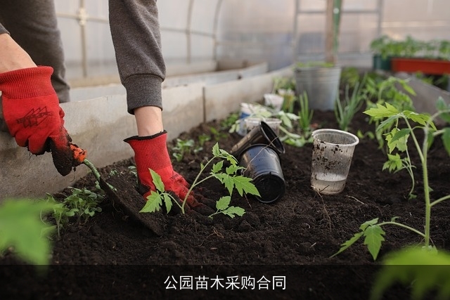公园苗木采购合同