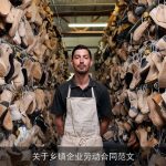 关于乡镇企业劳动合同范文