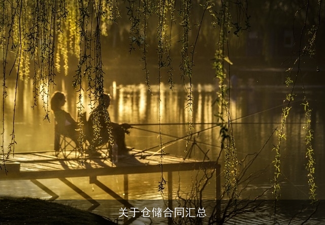 关于仓储合同汇总