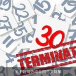 关于公司劳动合同范文锦集