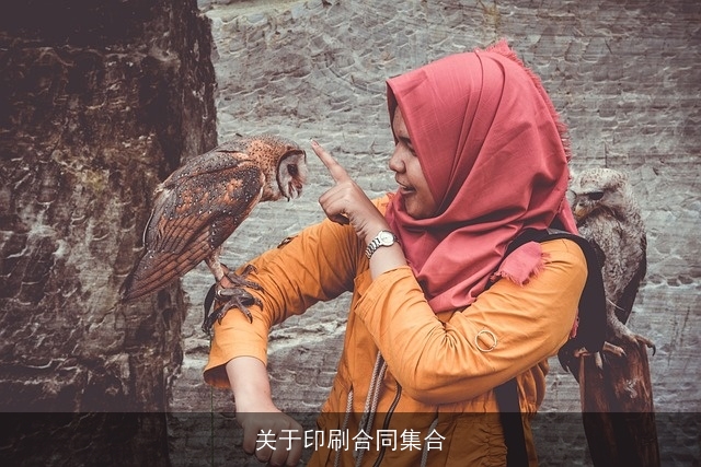 关于印刷合同集合