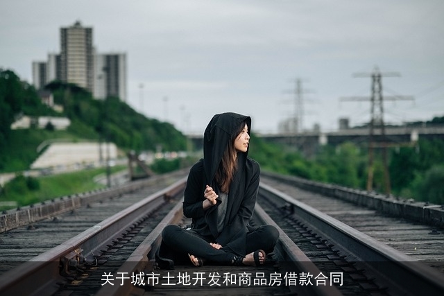 关于城市土地开发和商品房借款合同